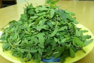 बथुआ की भुजिया - Bathua Bhujia Recipe