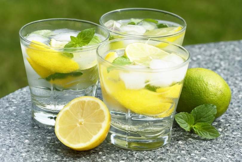 Lemon and Mint Juice Recipe